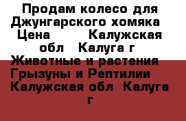 Продам колесо для Джунгарского хомяка › Цена ­ 50 - Калужская обл., Калуга г. Животные и растения » Грызуны и Рептилии   . Калужская обл.,Калуга г.